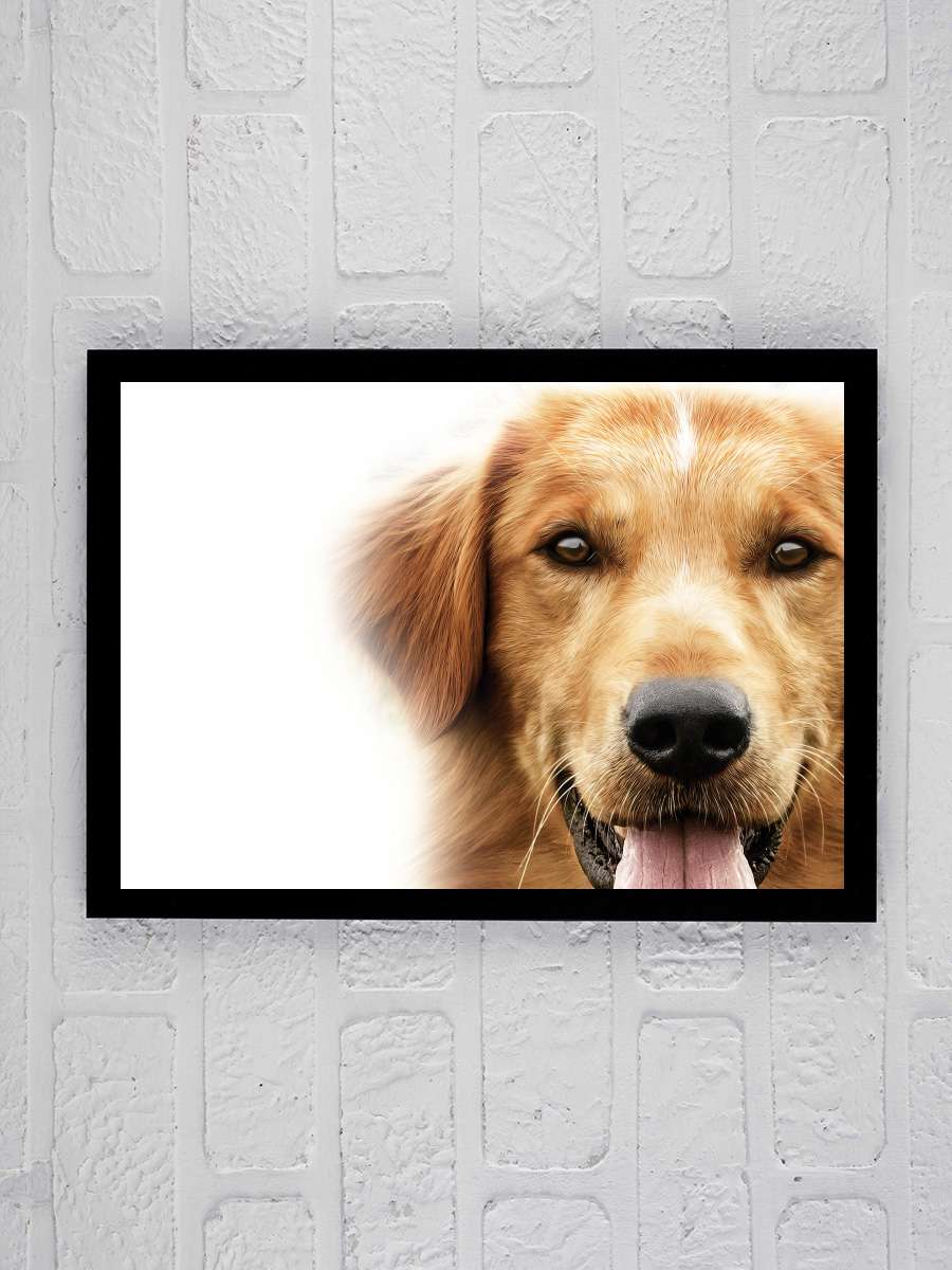 Can Dostum - A Dog's Purpose Film Tablo Siyah Çerçeveli Film Poster Afiş Tablo