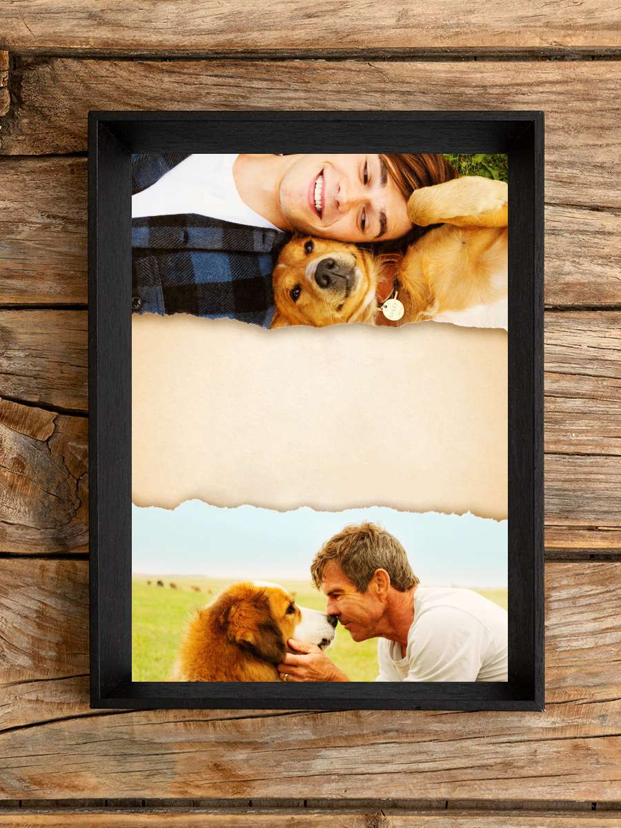 Can Dostum - A Dog's Purpose Film Tablo Siyah Çerçeveli Film Poster Afiş Tablo