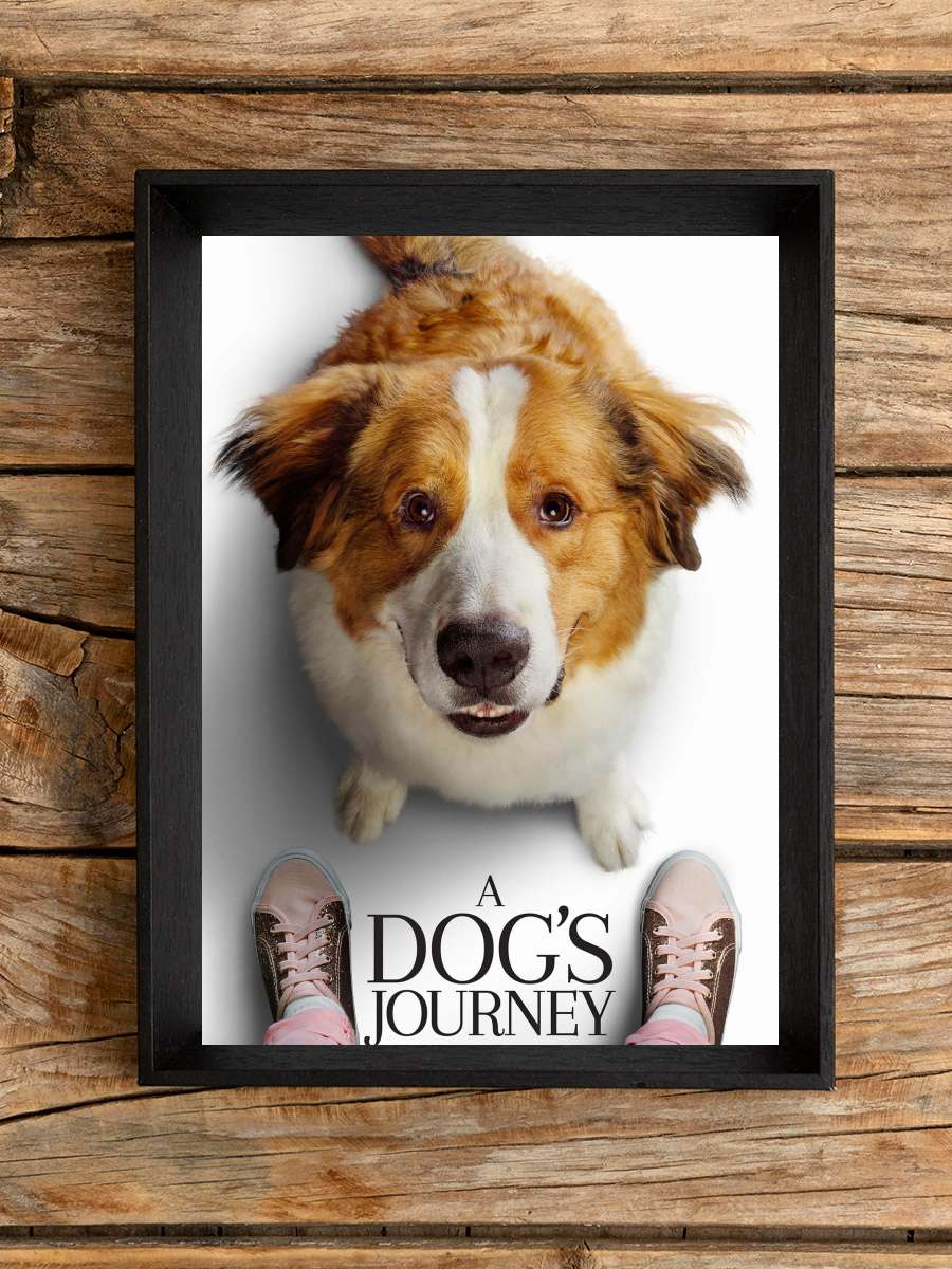 Dostumun Yolculuğu - A Dog's Journey Film Tablo Siyah Çerçeveli Film Poster Afiş Tablo