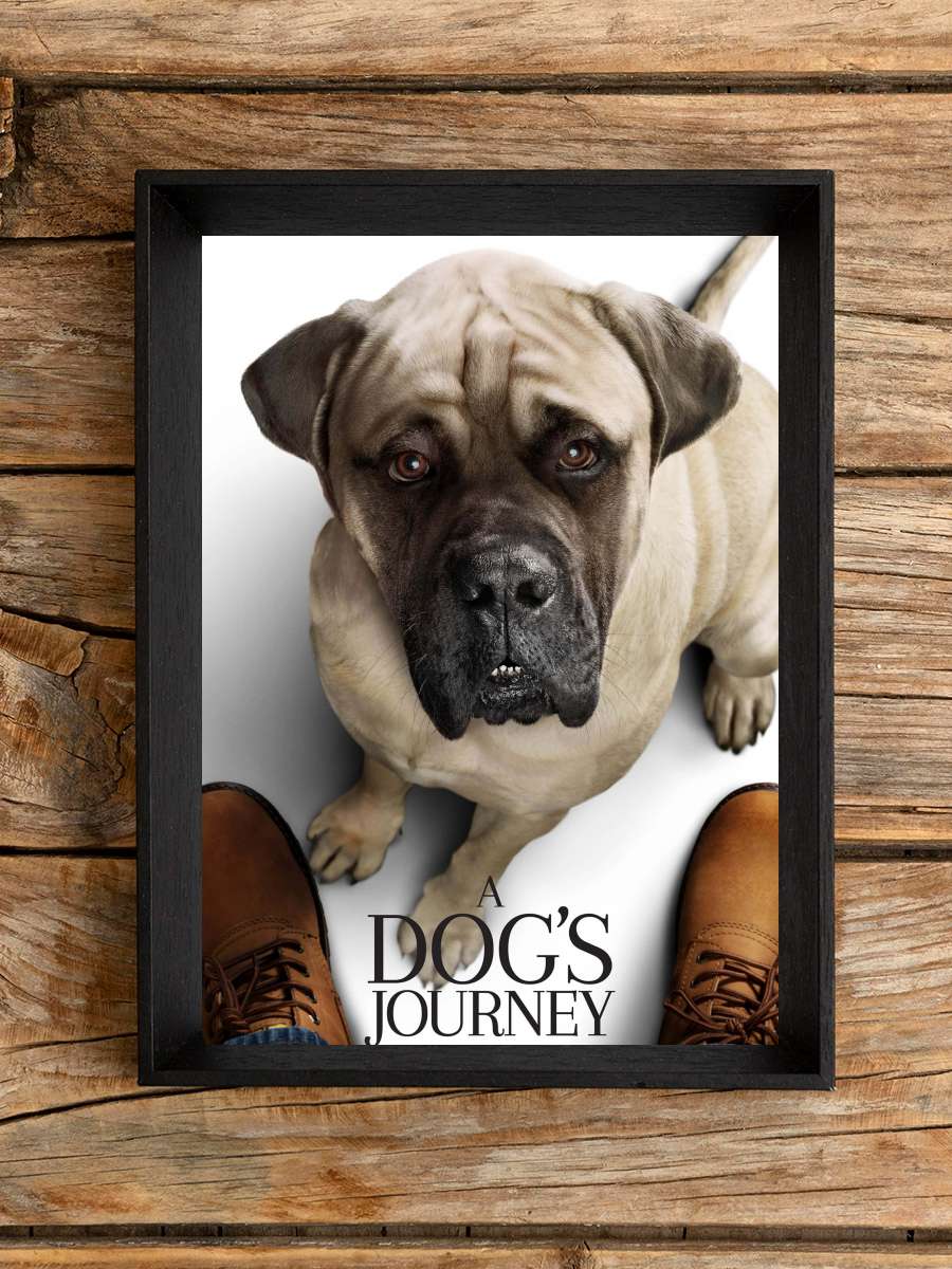 Dostumun Yolculuğu - A Dog's Journey Film Tablo Siyah Çerçeveli Film Poster Afiş Tablo