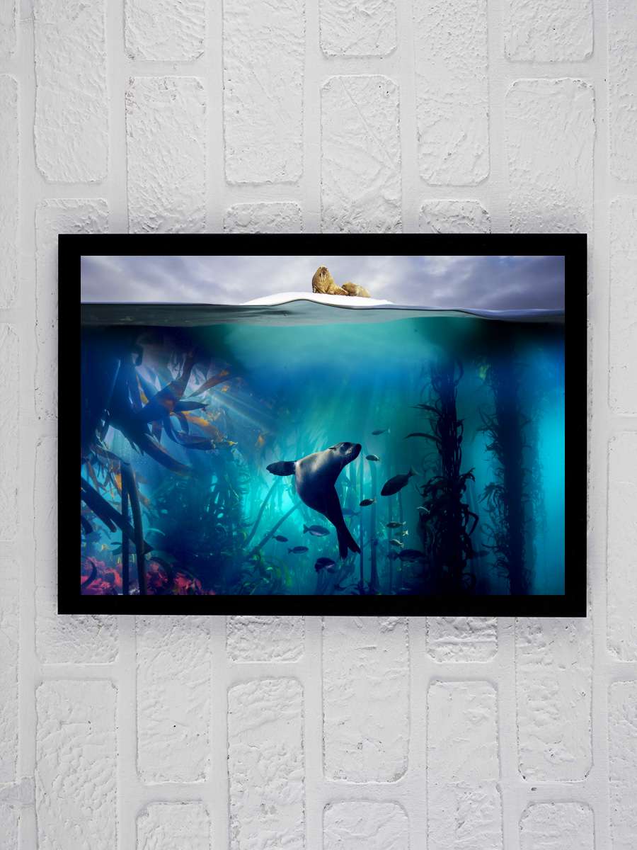 Blue Planet II Dizi Tablo Siyah Çerçeveli Dizi Poster Duvar Tablo