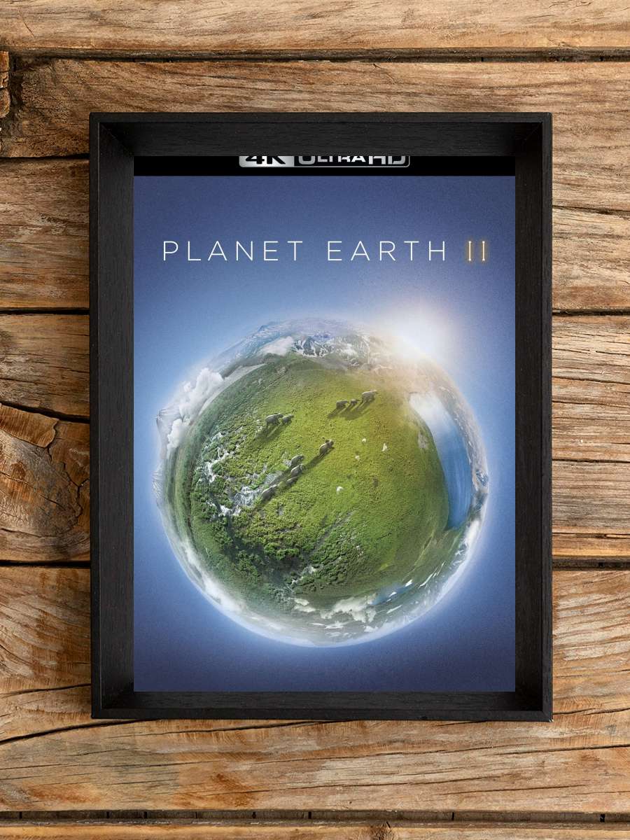 Planet Earth II Dizi Tablo Siyah Çerçeveli Dizi Poster Duvar Tablo