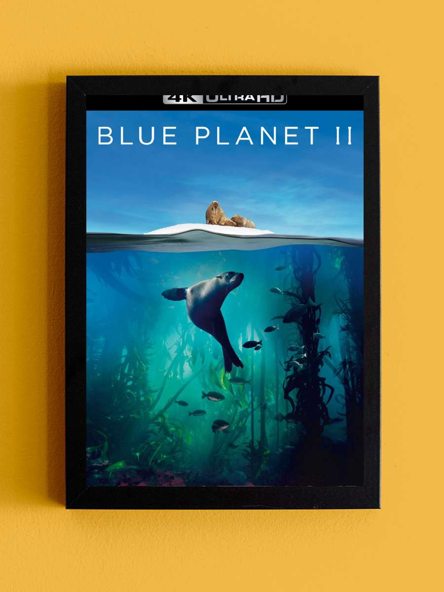 Blue Planet II Dizi Tablo Siyah Çerçeveli Dizi Poster Duvar Tablo