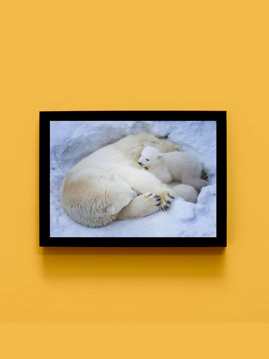 bears mother Anime Tablo Siyah Çerçeveli Yüksek Kalite Anime Duvar Poster Tablo - En İyi Fiyatlarla