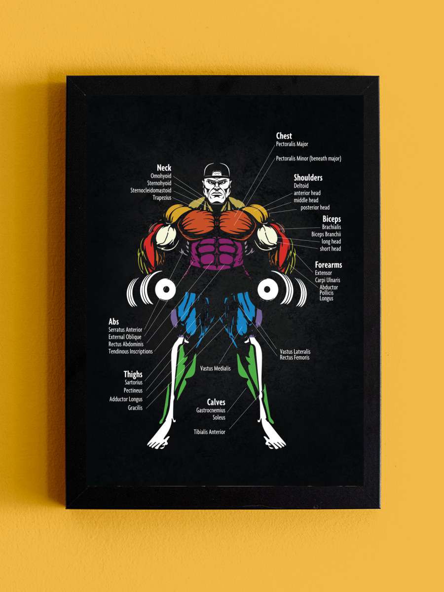 Muscle Chart Anatomy Anime Tablo Siyah Çerçeveli Yüksek Kalite Anime Duvar Poster Tablo - En İyi Fiyatlarla